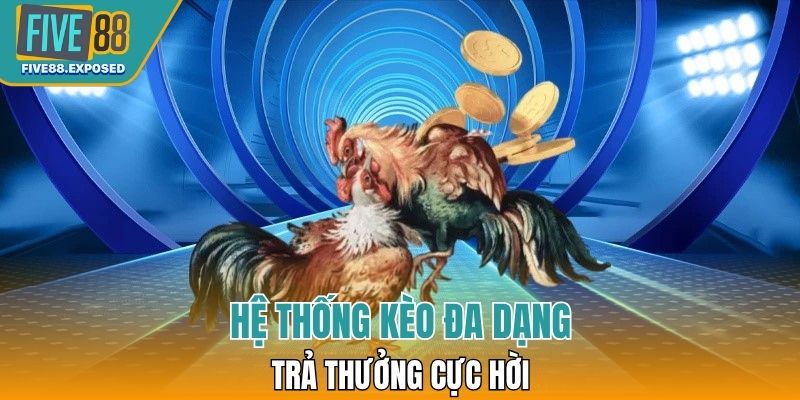 Hệ thống kèo đa dạng trả thưởng cực hời