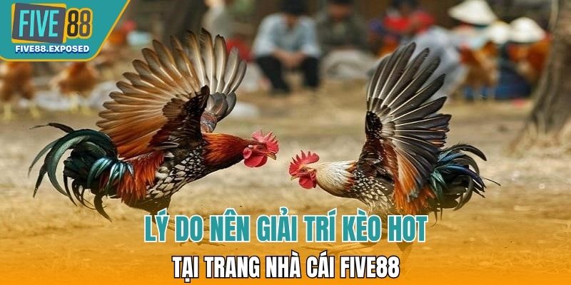 Lý do nên giải trí kèo hot tại trang nhà cái FIVE88